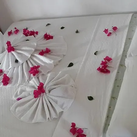 Orman Accommodatie bij particulieren *